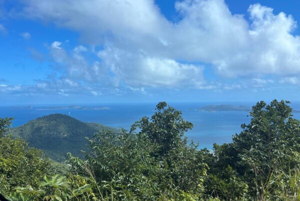 a beautiful view in the Dominican Republic